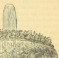 Picture 2 of 2 from The Technologist (1861), leaf 553