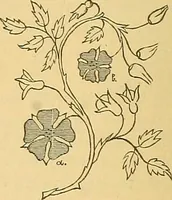 Picture 30 of 160 from Technology of textile design. Being a practical treatise on the construction and application of weaves for all textile fabrics, with minute reference to the latest inventions for weaving (1888), leaf 117