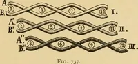 Picture 40 of 160 from Technology of textile design. Being a practical treatise on the construction and application of weaves for all textile fabrics, with minute reference to the latest inventions for weaving (1888), leaf 154