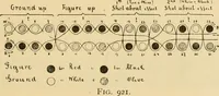 Picture 101 of 160 from Technology of textile design. Being a practical treatise on the construction and application of weaves for all textile fabrics, with minute reference to the latest inventions for weaving (1888), leaf 232