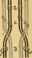 Picture 120 of 160 from Technology of textile design. Being a practical treatise on the construction and application of weaves for all textile fabrics, with minute reference to the latest inventions for weaving (1888), leaf 247