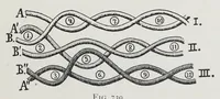 An illustration from Technology of textile design : a practical treatise on the construction and application of weaves for all textile fabrics and the analysis of cloth : containing also an appendix describing all the latest methods and improvements in designing and manufacturing : for the use of students, operatives, overseers, designers, mill managers, commission merchants and manufacturers (1905)