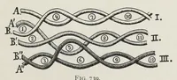Picture 5 of 17 from Technology of textile design : being a practical treatise on the construction and application of weaves for all textile fabrics, with minute reference to the latest inventions for weaving : containing also an appendix showing the analysis and giving the calculations necessary for the manufacture of the various textile fabrics (1892), leaf 155