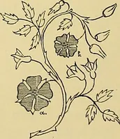 An illustration from Technology of textile design. Being a practical treatise on the construction and application of weaves for all textile fabrics, with minute reference to the latest inventions for weaving (1888)