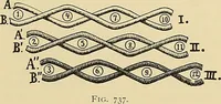 An illustration from Technology of textile design. Being a practical treatise on the construction and application of weaves for all textile fabrics, with minute reference to the latest inventions for weaving (1888)