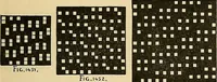 An illustration from Technology of textile design. Being a practical treatise on the construction and application of weaves for all textile fabrics, with minute reference to the latest inventions for weaving (1888)