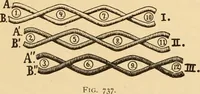 An illustration from Technology of textile design. Being a practical treatise on the construction and application of weaves for all textile fabrics, with minute reference to the latest inventions for weaving. Containing also an appendix showing the analysis and giving the calculations necessary for the manufacture of the various textile fabrics (1889)