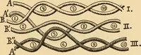 An illustration from Technology of textile design. Being a practical treatise on the construction and application of weaves for all textile fabrics, with minute reference to the latest inventions for weaving. Containing also an appendix showing the analysis and giving the calculations necessary for the manufacture of the various textile fabrics (1889)