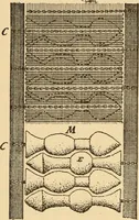 An illustration from Technology of textile design. Being a practical treatise on the construction and application of weaves for all textile fabrics, with minute reference to the latest inventions for weaving. Containing also an appendix showing the analysis and giving the calculations necessary for the manufacture of the various textile fabrics (1889)