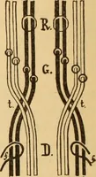 An illustration from Technology of textile design. Being a practical treatise on the construction and application of weaves for all textile fabrics, with minute reference to the latest inventions for weaving. Containing also an appendix showing the analysis and giving the calculations necessary for the manufacture of the various textile fabrics (1889)