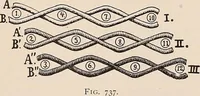 An illustration from Technology of textile design. A practical treatise on the construction and application of weaves for all textile fabrics... Containing also an appendix describing all the latest methods and improvements in designing and manufacturing (1890)