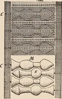 An illustration from Technology of textile design. A practical treatise on the construction and application of weaves for all textile fabrics... Containing also an appendix describing all the latest methods and improvements in designing and manufacturing (1890)