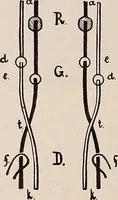 An illustration from Technology of textile design. A practical treatise on the construction and application of weaves for all textile fabrics... Containing also an appendix describing all the latest methods and improvements in designing and manufacturing (1890)