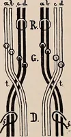 An illustration from Technology of textile design. A practical treatise on the construction and application of weaves for all textile fabrics... Containing also an appendix describing all the latest methods and improvements in designing and manufacturing (1890)