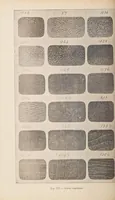An illustration from Teinture, corroyage et finissage du cuir (1910)