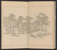 An illustration from Teito gakei ichiran (1809)