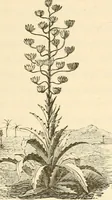 Picture 18 of 105 from The telegraph in American and Morse memorial (1886), leaf 256