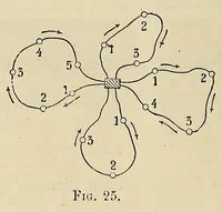 Picture 3 of 17 from The telegraph : translated from the French (1895), leaf 80