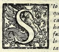 An illustration from Tempesta amorosa : comedia (1605)