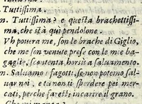 An illustration from Tempesta amorosa : comedia (1605)