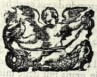 An illustration from Tempesta amorosa : comedia (1605)