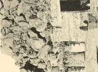 An illustration from The temple of Bîgeh (1915)