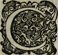 An illustration from Templvm gratiarvm, serenissimi ... : principis ac domini D. Leopoldi, archidvcis Avstriae et comitis Tyrolis &c fvndatoris mvnificentissimi : augustissimi ... caesaris Ferdinandi II., Germani fratris, piis manibvs ... a memoria archidvcalis collegii Passaviensis Societatis Iesv, ipso inferiarum, ac post D. Leopoldi die cum iusta in oratorio pie persolveret ac moestissime parentaret, A.D. MDCXXXII : Summa observantia dicatum dedicatumque (1633)