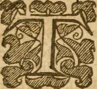 Picture 16 of 19 from Ten sermons : tending chiefly to the fitting of men for the worthy receiving of the Lords supper ... (1634), leaf 219