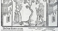 Picture 6 of 30 from Terenti[us] : cũ directorio vocabulorũ, sententiarũ, artis comice : glosa ĩterlineali : comẽtarijs Donato, Gvidone, Ascensio, leaf 126