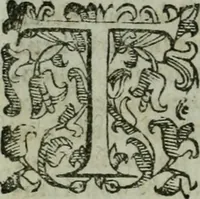 An illustration from Termini di mezzo rilievo e d'intera dottrina tra gl'archi di casa Valori in Firenze : col sommario della vita d'alcvni : compendio dell'opere de gl'altri, e indizio di tutti gl'aggiunti nel discorso dell'eccellenza degli scrittori, e nobiltà de gli studi Fiorentini (1604)
