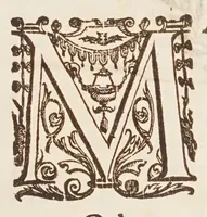 An illustration from Terra machinis mota, eivsqve gravitas, et dimensio (1655)