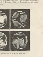 An illustration from Les terres du ciel; voyage astronomique sur les autres mondes et description des conditions actuelles de la vie sur les diverses planètes du système solaire; (1884)