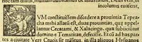 An illustration from Tertia Ferdina[n]di Cortesii Sac. Caesar. et Cath. Maiesta. in nova maris oceani Hyspania generalis præfecti p[rae]clara narratio, : in qua celebris ciuitatis Temixtitan expugnatio, aliaru[m]q[ue] prouintiaru[m], qu[a]e defecerant recuperatio continetur, in quaru[m] expugnatione, recuperatione q[ue] præfectus, una cum Hyspanis victorias æterna memoria dignas consequutus est, pr[a]eterea in ea Mare del Sur Cortesium detexisse rece[n]set[er], quod nos Australe Indicu[m] Pelagus putam[us], [et] alias innumeras prouintias aurifodinis, unionibus, variisq[ue] Gemmarum generibus refertas, et postremo illis innotuisse in eis quoq[ue] aromata contineri, (1524)