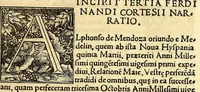 An illustration from Tertia Ferdina[n]di Cortesii Sac. Caesar. et Cath. Maiesta. in nova maris oceani Hyspania generalis præfecti p[rae]clara narratio, : in qua celebris ciuitatis Temixtitan expugnatio, aliaru[m]q[ue] prouintiaru[m], qu[a]e defecerant recuperatio continetur, in quaru[m] expugnatione, recuperatione q[ue] præfectus, una cum Hyspanis victorias æterna memoria dignas consequutus est, pr[a]eterea in ea Mare del Sur Cortesium detexisse rece[n]set[er], quod nos Australe Indicu[m] Pelagus putam[us], [et] alias innumeras prouintias aurifodinis, unionibus, variisq[ue] Gemmarum generibus refertas, et postremo illis innotuisse in eis quoq[ue] aromata contineri, (1524)