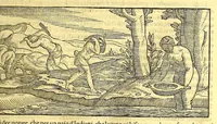 An illustration from Terzo volume delle nauigationi et viaggi (1565)