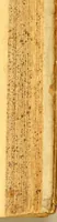 An illustration from Terzo volume delle nauigationi et viaggi (1565)