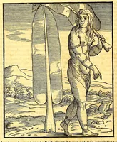 Picture 3 of 14 from Terzo volume delle nauigationi et viaggi nel quale si contengono le nauigationi al Mondo Nuouo ... le nauigationi fatte dipoi alle dette Indie ... Si come dimostrano le diuerse relationi, (1556), leaf 220