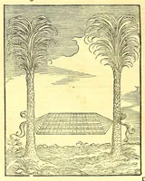 An illustration from Terzo volume delle nauigationi et viaggi nel quale si contengono le nauigationi al Mondo Nuouo ... le nauigationi fatte dipoi alle dette Indie ... Si come dimostrano le diuerse relationi, (1556)