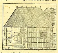 An illustration from Terzo volume delle nauigationi et viaggi nel quale si contengono le nauigationi al Mondo Nuouo ... le nauigationi fatte dipoi alle dette Indie ... Si come dimostrano le diuerse relationi, (1556)