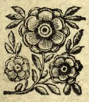 An illustration from Tesoro delle gioie : trattato curioso, nel quale si dichiara breuemente le virtù, qualità, e proprietà delle gioie, come perle, gemme, auori, vnicorni, bezaari, cocco, malacca, balsami, contr' herba, muschio, ambra, zibetto : e molt' altre cose più famose, e pregiate di tutti li diligenti scrittori antichi, moderni, arabi, greci, latini, italiani, sacri, & altri : lodate, stimate e conosciute saluteuoli e medicinali (1676)