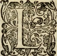 An illustration from Tesoro politico in cvi si contengono relationi : istruttioni, trattati, & varij discorsi, pertinenti alla perfetta intelligenza della ragion di stato. Et all'intiera cognitione de gl'interessi, & dipendenze de' più gran prencipi, & signori del mondo. Diviso in tre parti (1602)