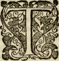 An illustration from Tesoro politico in cvi si contengono relationi : istruttioni, trattati, & varij discorsi, pertinenti alla perfetta intelligenza della ragion di stato. Et all'intiera cognitione de gl'interessi, & dipendenze de' più gran prencipi, & signori del mondo. Diviso in tre parti (1602)