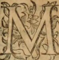 An illustration from Tesoro politico in cvi si contengono relationi : istruttioni, trattati, & varij discorsi, pertinenti alla perfetta intelligenza della ragion di stato. Et all'intiera cognitione de gl'interessi, & dipendenze de' più gran prencipi, & signori del mondo. Diviso in tre parti (1602)