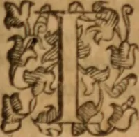 An illustration from Tesoro politico in cvi si contengono relationi : istruttioni, trattati, & varij discorsi, pertinenti alla perfetta intelligenza della ragion di stato. Et all'intiera cognitione de gl'interessi, & dipendenze de' più gran prencipi, & signori del mondo. Diviso in tre parti (1602)