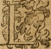 An illustration from Tesoro politico in cvi si contengono relationi : istruttioni, trattati, & varij discorsi, pertinenti alla perfetta intelligenza della ragion di stato. Et all'intiera cognitione de gl'interessi, & dipendenze de' più gran prencipi, & signori del mondo. Diviso in tre parti (1602)