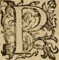 An illustration from Tesoro politico in cvi si contengono relationi : istruttioni, trattati, & varij discorsi, pertinenti alla perfetta intelligenza della ragion di stato. Et all'intiera cognitione de gl'interessi, & dipendenze de' più gran prencipi, & signori del mondo. Diviso in tre parti (1602)