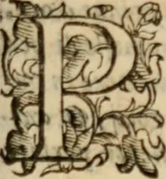 An illustration from Tesoro politico in cvi si contengono relationi : istruttioni, trattati, & varij discorsi, pertinenti alla perfetta intelligenza della ragion di stato. Et all'intiera cognitione de gl'interessi, & dipendenze de' più gran prencipi, & signori del mondo. Diviso in tre parti (1602)