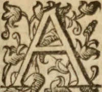 An illustration from Tesoro politico in cvi si contengono relationi : istruttioni, trattati, & varij discorsi, pertinenti alla perfetta intelligenza della ragion di stato. Et all'intiera cognitione de gl'interessi, & dipendenze de' più gran prencipi, & signori del mondo. Diviso in tre parti (1602)