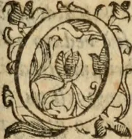 An illustration from Tesoro politico in cvi si contengono relationi : istruttioni, trattati, & varij discorsi, pertinenti alla perfetta intelligenza della ragion di stato. Et all'intiera cognitione de gl'interessi, & dipendenze de' più gran prencipi, & signori del mondo. Diviso in tre parti (1602)