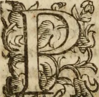 An illustration from Tesoro politico in cvi si contengono relationi : istruttioni, trattati, & varij discorsi, pertinenti alla perfetta intelligenza della ragion di stato. Et all'intiera cognitione de gl'interessi, & dipendenze de' più gran prencipi, & signori del mondo. Diviso in tre parti (1602)